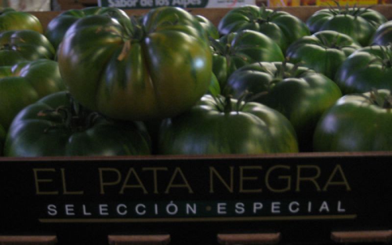 Imagen de pimientos en primer plano Imagen de pimientos en primer plano