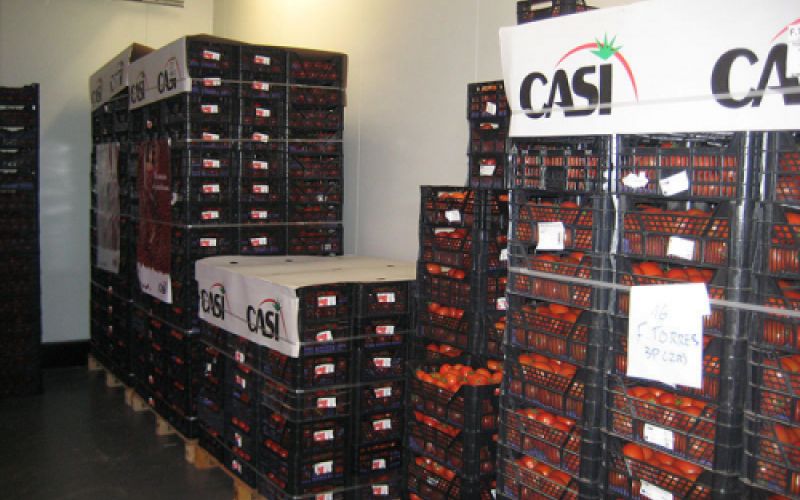 Almacén con cajas de naranjas Almacén con cajas de naranjas