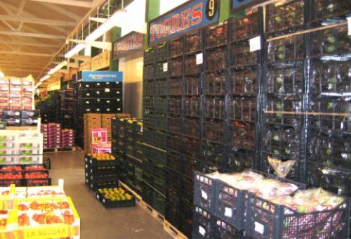 Venta de frutas y verduras al por mayor Venta de frutas y verduras al por mayor