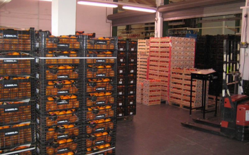 Gran almacén con cajas de frutas Gran almacén con cajas de frutas