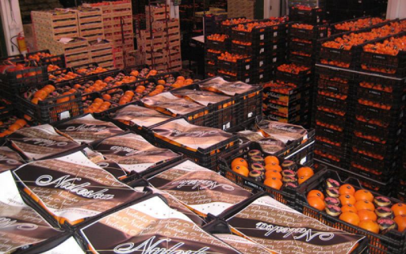 Varias cajas de naranjas de marca Naleska en almacén Varias cajas de naranjas de marca Naleska en almacén