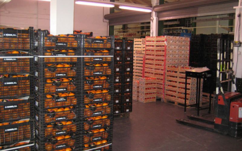 Gran almacén con cajas de frutas Gran almacén con cajas de frutas