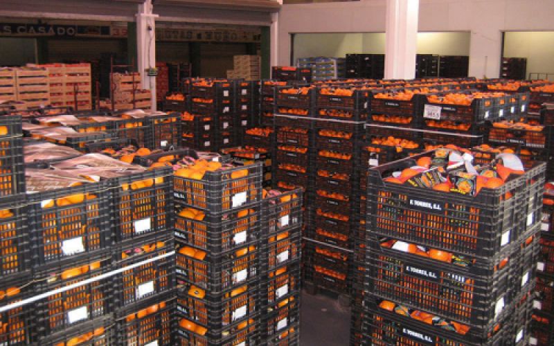 Vista de almacén con cajas de frutas y verduras Vista de almacén con cajas de frutas y verduras