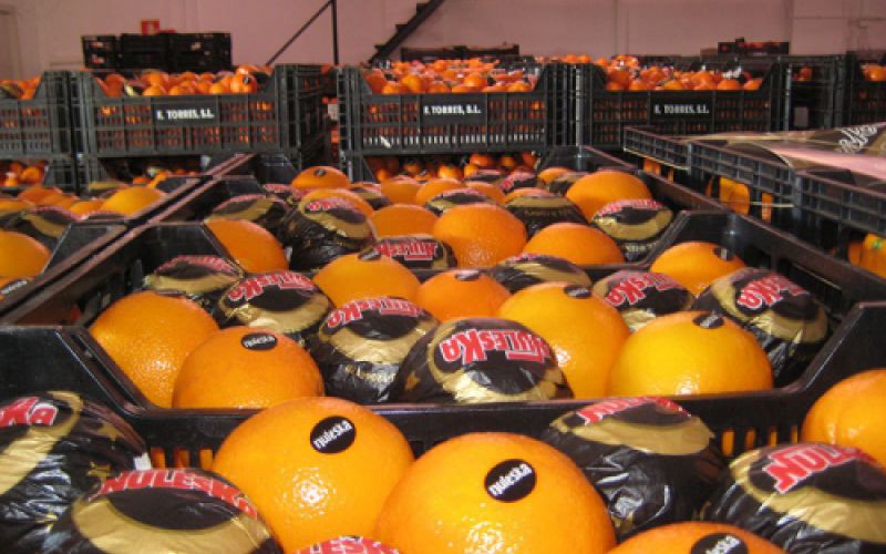 Cajas de naranjas Cajas de naranjas