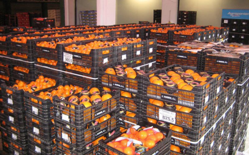 Almacén con muchas cajas de naranjas Almacén con muchas cajas de naranjas